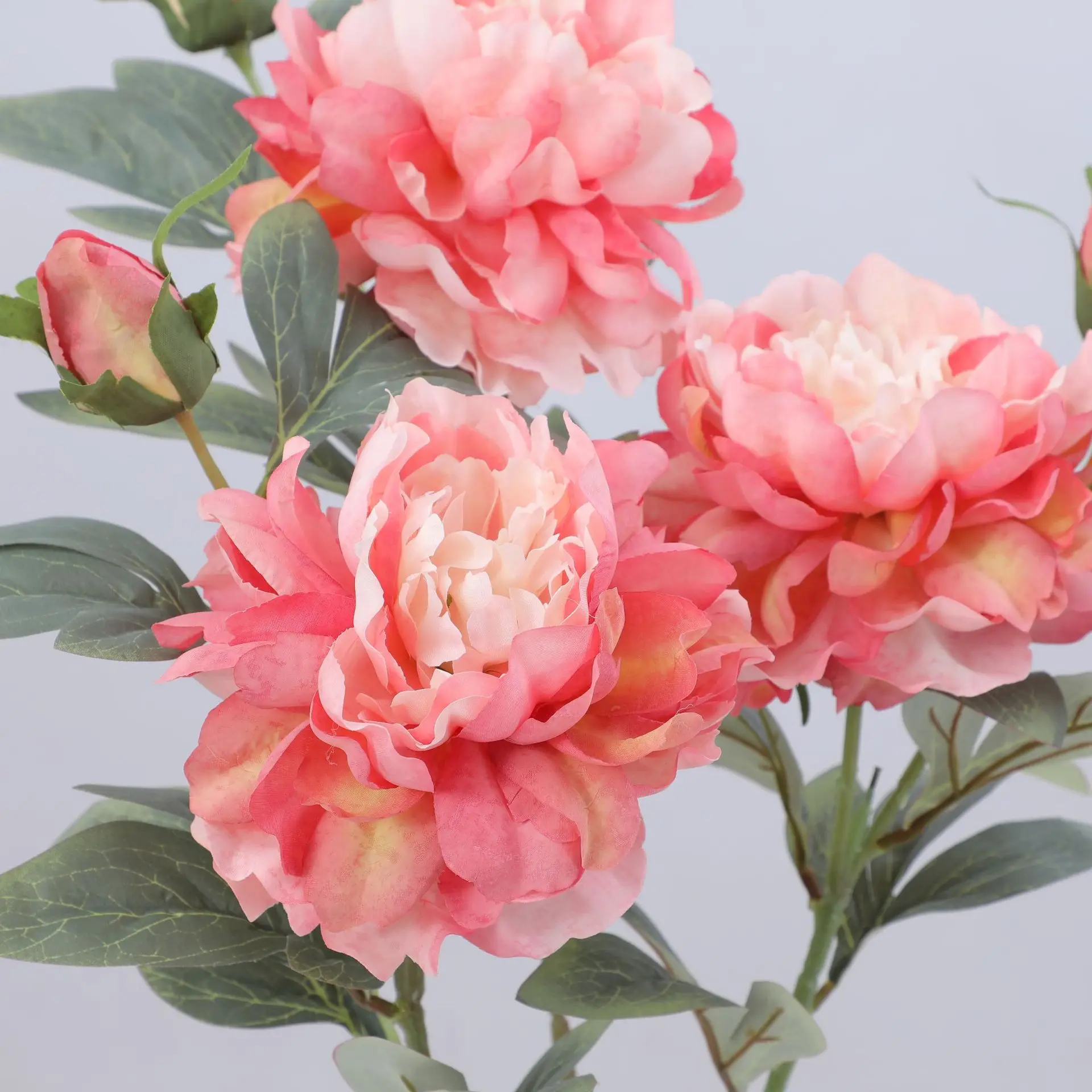 Artificial Peony Flower Single - Flower Wall Panel recension och pris