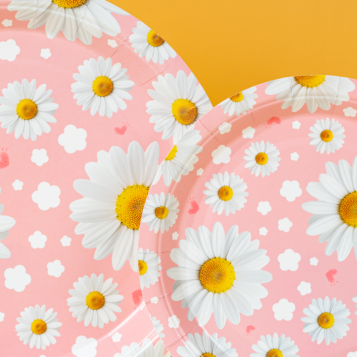 Pink Daisy Print Disposable Pa - Event & Party Supply recension och pris